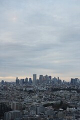 Fototapeta premium Tokyo skyline under cloudy sky urban cityscape