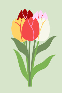 Tulips bundle Spring Flowers Vector Flower Illustration set