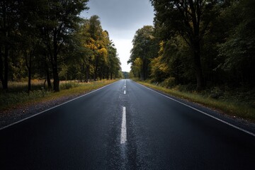 Obraz premium Empty Asphalt Road Through Autumn Forest Under Cloudy Sky.
