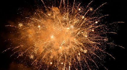 Golden Firework Explosion Bursting in Night Sky