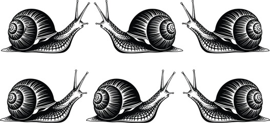 Set of Six Detailed Black Snail Silhouettes with Intricate Shell Patterns and Long Tentacles Crawling Slowly Isolated on White Background for Nature Graphic Design © MstHazera