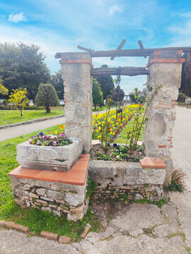 Parterres de fleurs au printemps avec de multiples couleurs dans le jardin du monast&egrave;re de Cimiez &agrave; Nice 