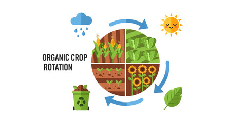 Fototapeta premium Organic Crop Rotation Cycle for Sustainable Agriculture & Healthy Soil Management