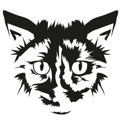 Cat Face Vector Illustration Animal Portrait © FATEMANUR