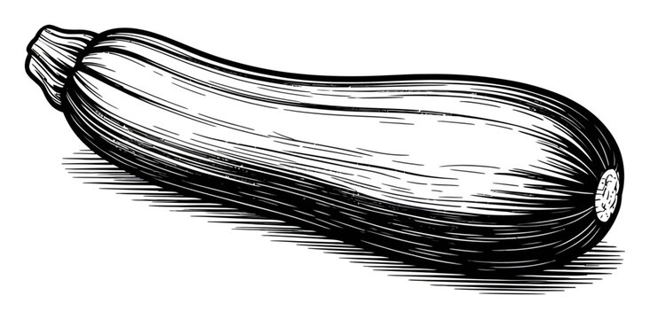 Eggplant Hand Drawn Black White Vector Illustration