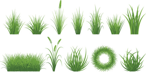 Green grass and lawn plants vector illustration realistic garden turf foliage collection isolated design © Rumi