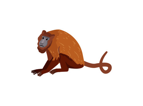 Vector illustration of an orange monkey standing.