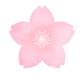 シンプルでかわいい桜の花　水彩風装飾イラスト　春の花
