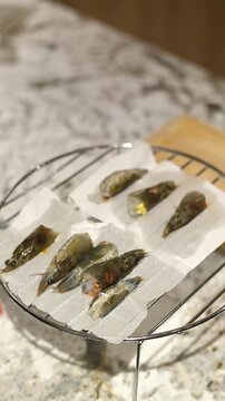 Raw capelin fish preparation for healthy meal. cooking process for small fresh shishamo in home kitchen, drying on wire rack for simple homemade seafood dish