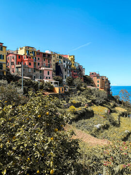 Scenic view of Corniglia with colorful houses above terraced greenery and a bright Mediterranean Sea horizon under blue sky and clouds along Cinque Terre, Liguria, Italy