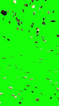 Golden Coins Falling Down Like Rain - Isolated on Green Background - 3d 4k Vertical Animation (2160 x 3840px)