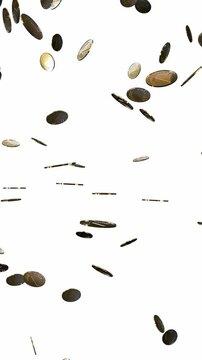 Rain of Golden Coins Falling Down - Isolated on White Background - 3d 4k Vertical Animation (2160 x 3840px)