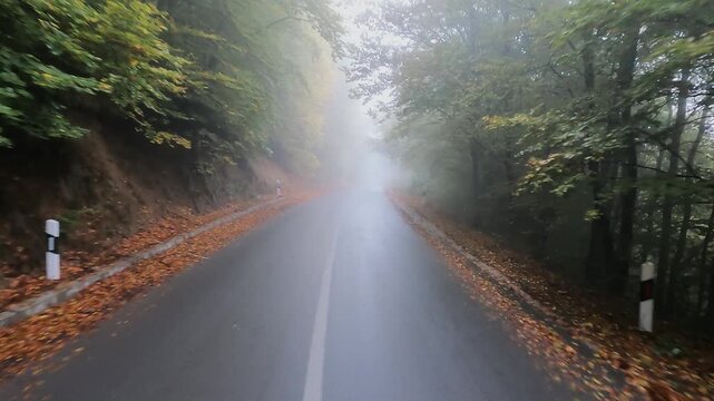 Dangerous drive in wet rural mountian road in foggy autumn forest, pov