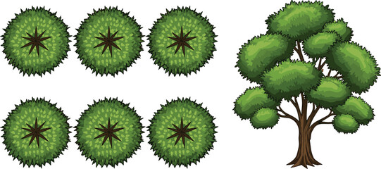 Overhead View of Round Trees and a Side View Tree Illustration Keywords: trees, overhead view, top view, side view, green © Manu