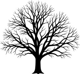 Obraz premium Stark bare tree silhouette spreads wide across the frame