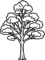 Obraz premium Tall deciduous tree with distinct foliage layers line drawing