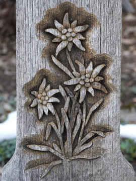 Carved edelweis flowers on wood panel, Saanen Switzerland