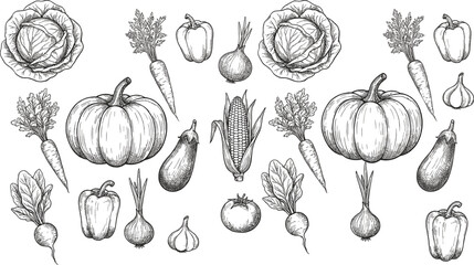 Hand Drawn Farm Fresh Vegetables Collection with Pumpkin Cabbage Carrot Corn Eggplant Pepper Onion Garlic Vintage Engraving Illustration Set
