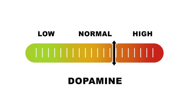 Dopamine level indicator scale. Low normal & high meter infographic animation on white background. Showing high dopamine level color gauge indicator for brain neurotransmitter mental health.