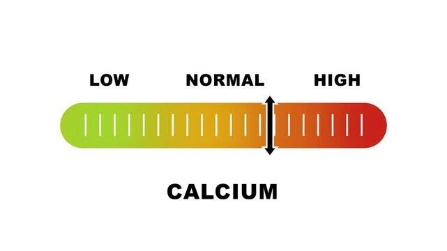 Calcium level indicator scale. Low normal & high meter infographic animation on white background. Showing high calcium level color gauge indicator for nutrition and bone health monitoring.