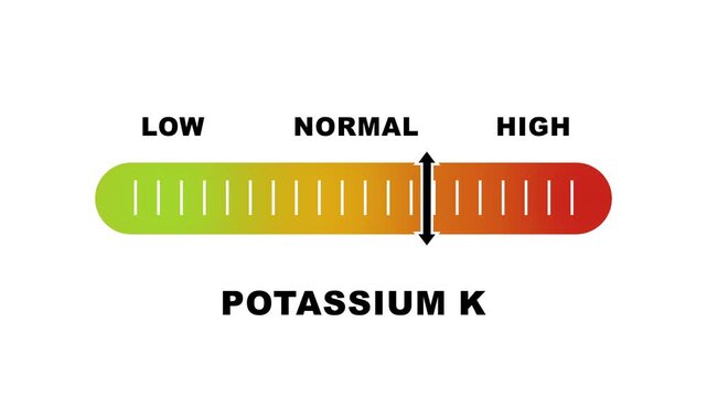 Potassium K indicator scale. Low normal high meter infographic animation on white background. Showing high potassium k level color gauge indicator for nutrition and electrolyte health monitoring.