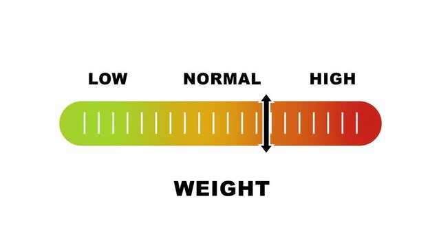 Weight level indicator scale. Low normal & high meter infographic animation on white background. Showing high weight level color gauge indicator for body weight and health monitoring.