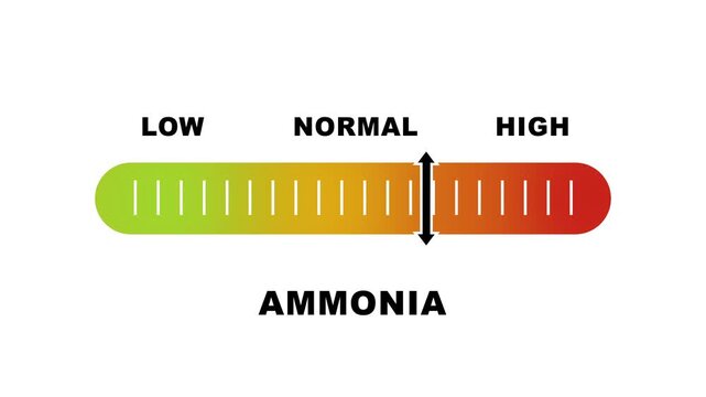 Ammonia level indicator scale. Low normal & high meter infographic animation on white background. Showing high ammonia level color gauge indicator for air quality and chemical safety monitoring.