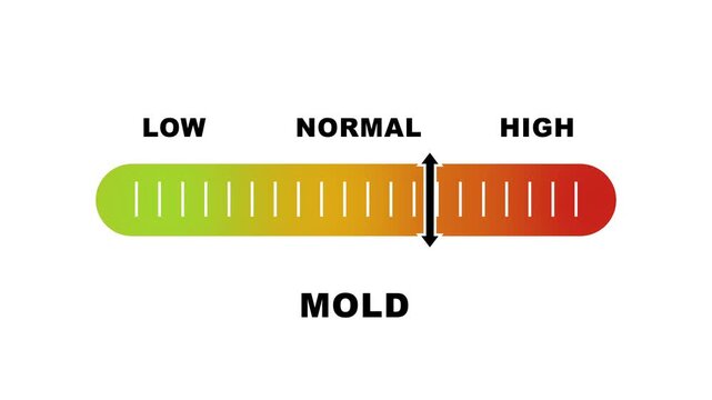 Mold level indicator scale. Low Normal High meter infographic animation on white background. Animation showing high mold level color gauge indicator for air quality and health safety monitoring.