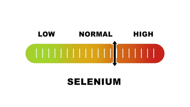 Selenium level indicator scale. Low normal & high meter infographic animation on white background. Showing high selenium level color gauge indicator for nutrition and antioxidant health monitoring.