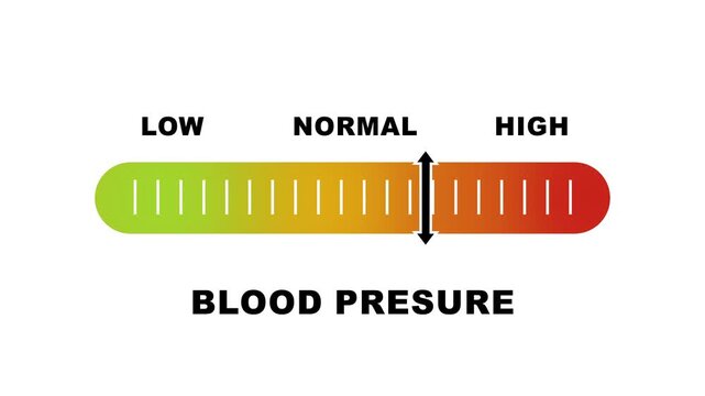 Blood pressure level indicator scale. Low Normal High meter infographic animation on white background. Animation showing high blood pressure color gauge indicator for cardiovascular health monitoring.