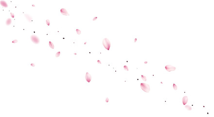 Pink cherry blossom petals falling isolated on transparent background with black dots