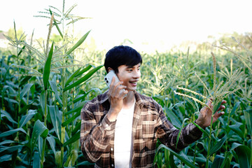 Farmer standing in corn field examining crop while talking on phone