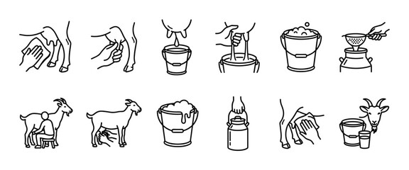 Fototapeta premium Set of black line art icons illustrating the goat milking process, from washing the udder and hand milking into a bucket to straining and storing fresh dairy milk