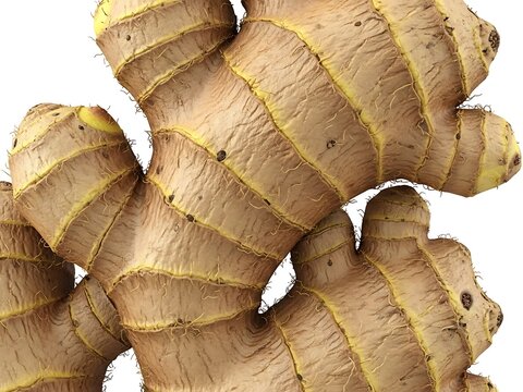 Close up textured surface of fresh ginger root with natural wrinkles