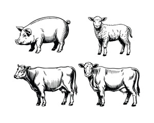 Fototapeta premium Lamb, Pig, Bull, Cow, and Calf, Farm Domestic Animals Hand-Drawn in Engraving Style, Etched Vector Illustrations for Agriculture and Farm Design.