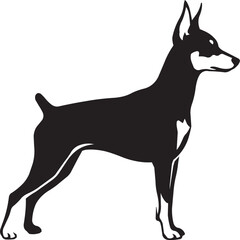 Obraz premium Elegant Doberman Pinscher Dog Silhouette Standing Proudly in Profile Vector Art, Isolated on White