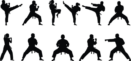Silhouette collection of karate fighters performing kicks and punches isolated on white background, martial arts training and self defense action poses set © MD SHAHARIR