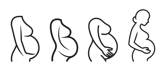 Stages of Pregnancy Progression Illustrated. Pregnant Belly Silhouette Line Art. Showing Growth and Gestation Timeline.