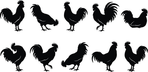 WebRooster silhouette collection, farm animal poultry set, chicken bird standing and walking, black vector illustration isolated on white background for design. © Itz Mehedi's World