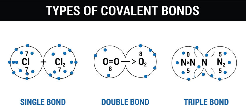 Covalent Compounds Examples In Real Life