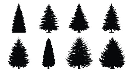 Fototapeta premium A collection of various coniferous tree shapes displayed in stark black creating a natural minimalist silhouette high quality