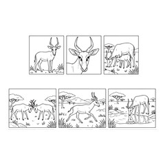 Fototapeta premium Animals Coloring Page Designs Black and White animal Illustration Outline Illustrations Collection Animals Clipart Bundle 
