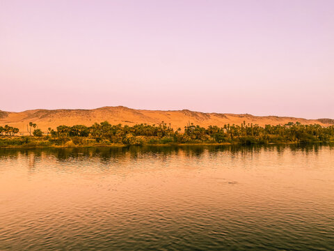Bank of the river Nile