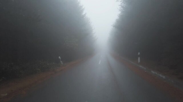 Driving along the road in the foggy forest. POV shot from a camera driving through empty dangerous ashaplt road in autumn