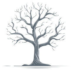 Obraz premium Ink Illustration of a Deciduous Tree with Bare Branches in Winter