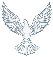 Obraz premium Elegant outline drawing of a white dove in flight with outstretched wings symbolizing peace and freedom.
