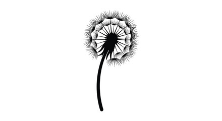 A striking black and white illustration depicts a dandelion seed head with a slender stem presented as a silhouette © Ajahar