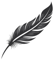 Elegant single monochrome feather illustration on a white background, light and soft texture, close-up of detailed avian plumage