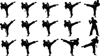 Martial arts karate silhouettes, high kick fighter poses, self defense training vector illustration for sports design © BlendCraft