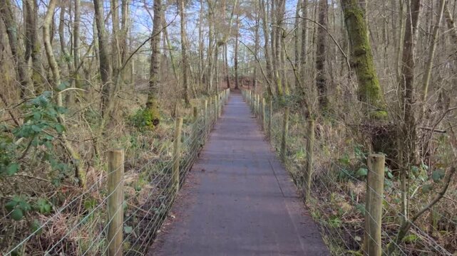 Bridge in Frensham Country Park. South of Farnham, Surrey. UK